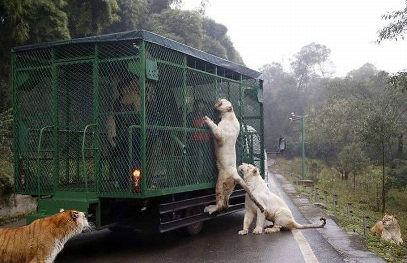 Obrázek lunchtimeee