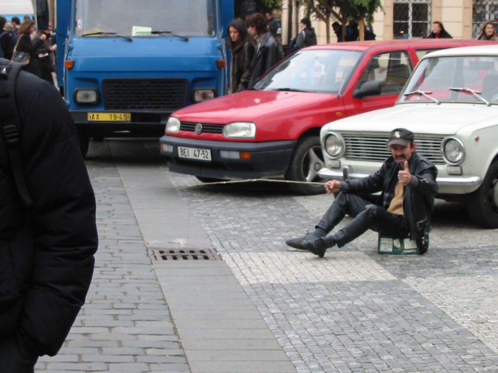 Obrázek ma policeno na kilovyho cerne pruhovanyho macka