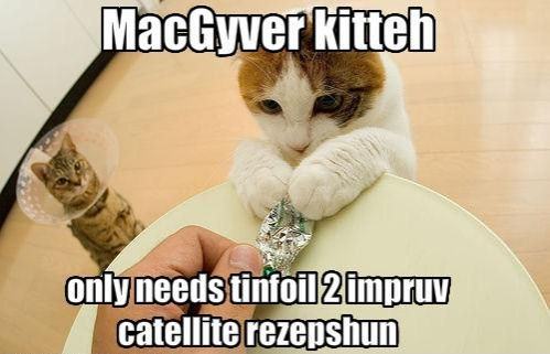 Obrázek macgyver kitteh