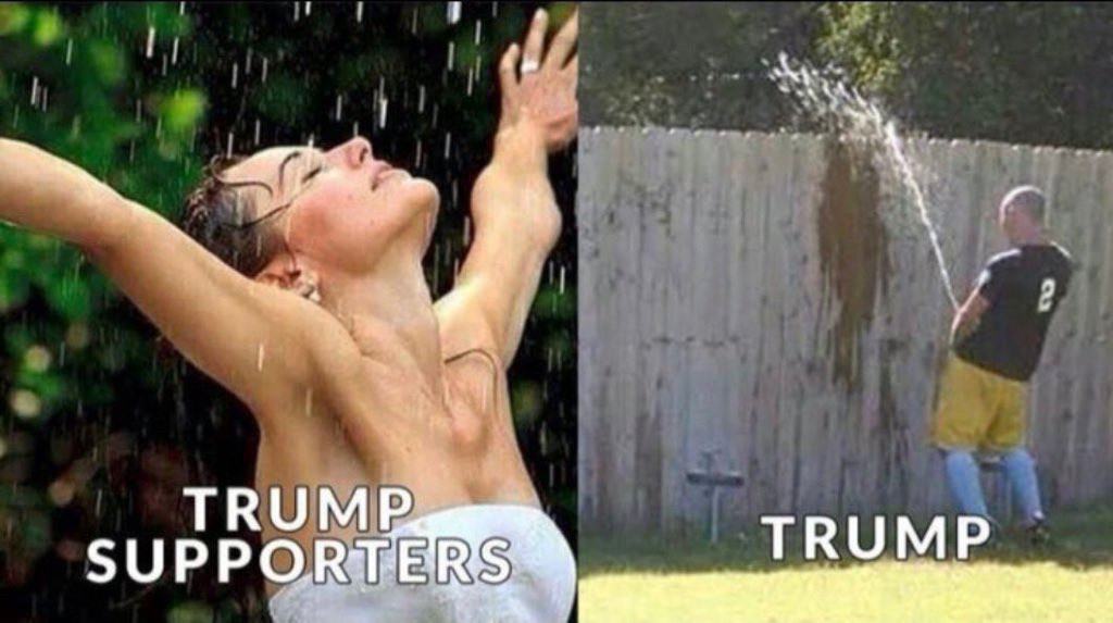 Obrázek maga