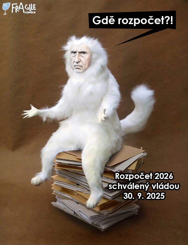 Obrázek makak na rozpoctu