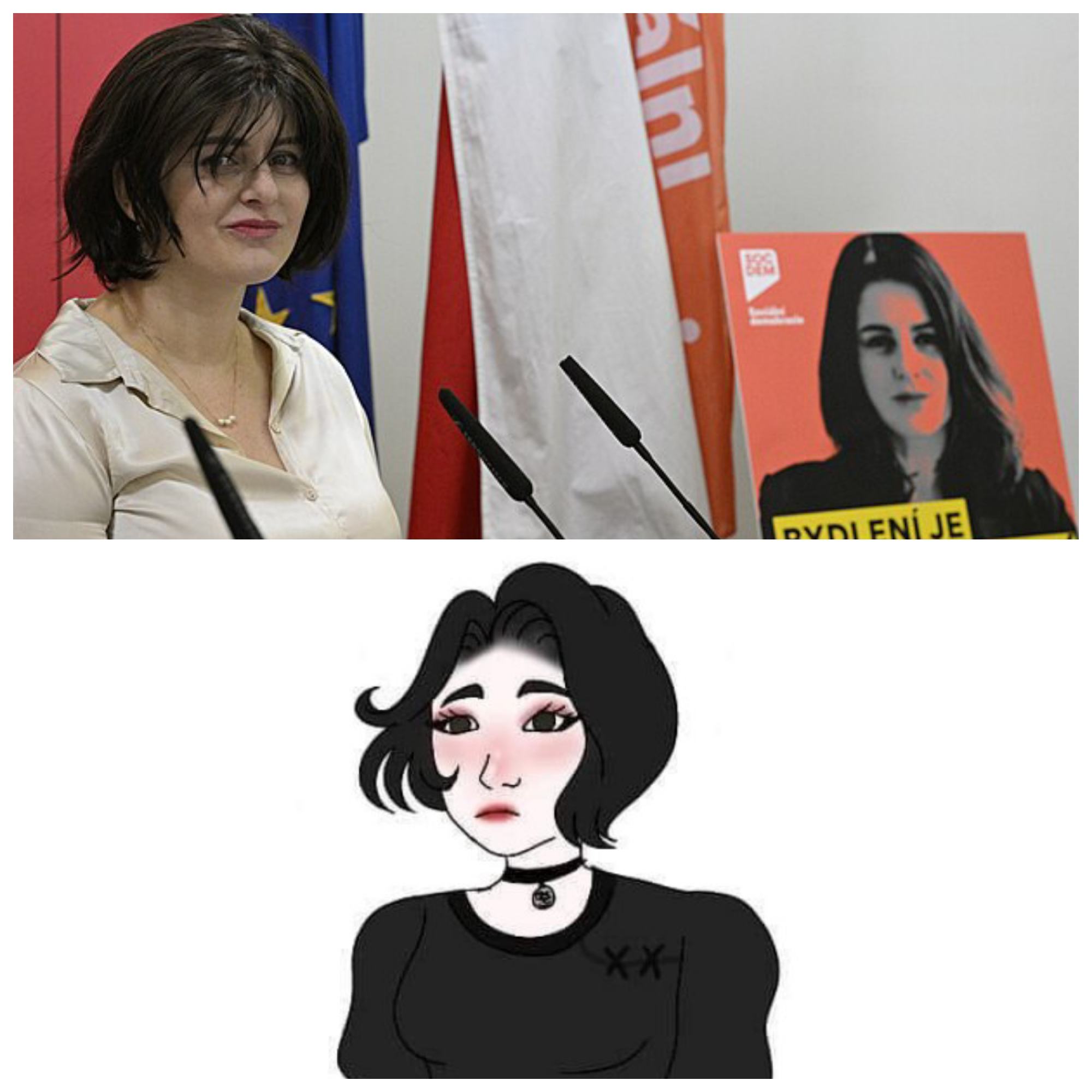 Obrázek malackova meme