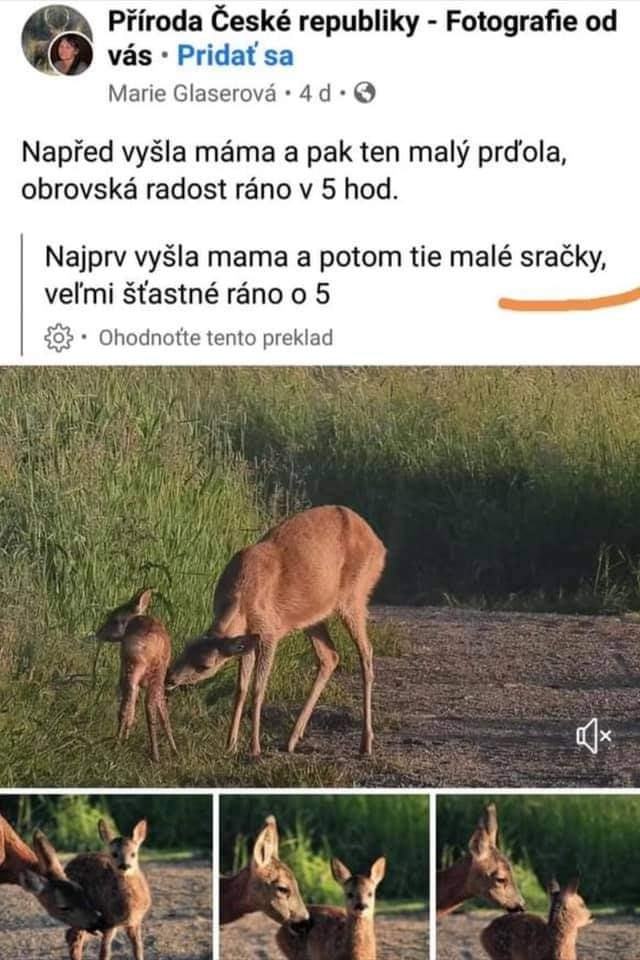 Obrázek male sracky