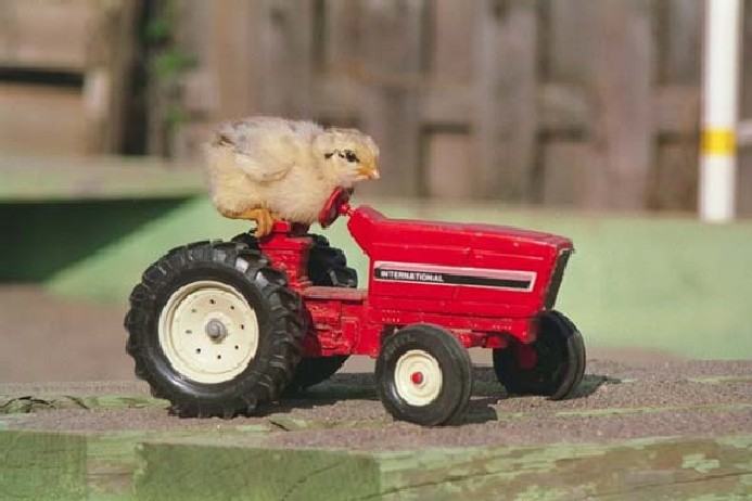 Obrázek malej traktorista