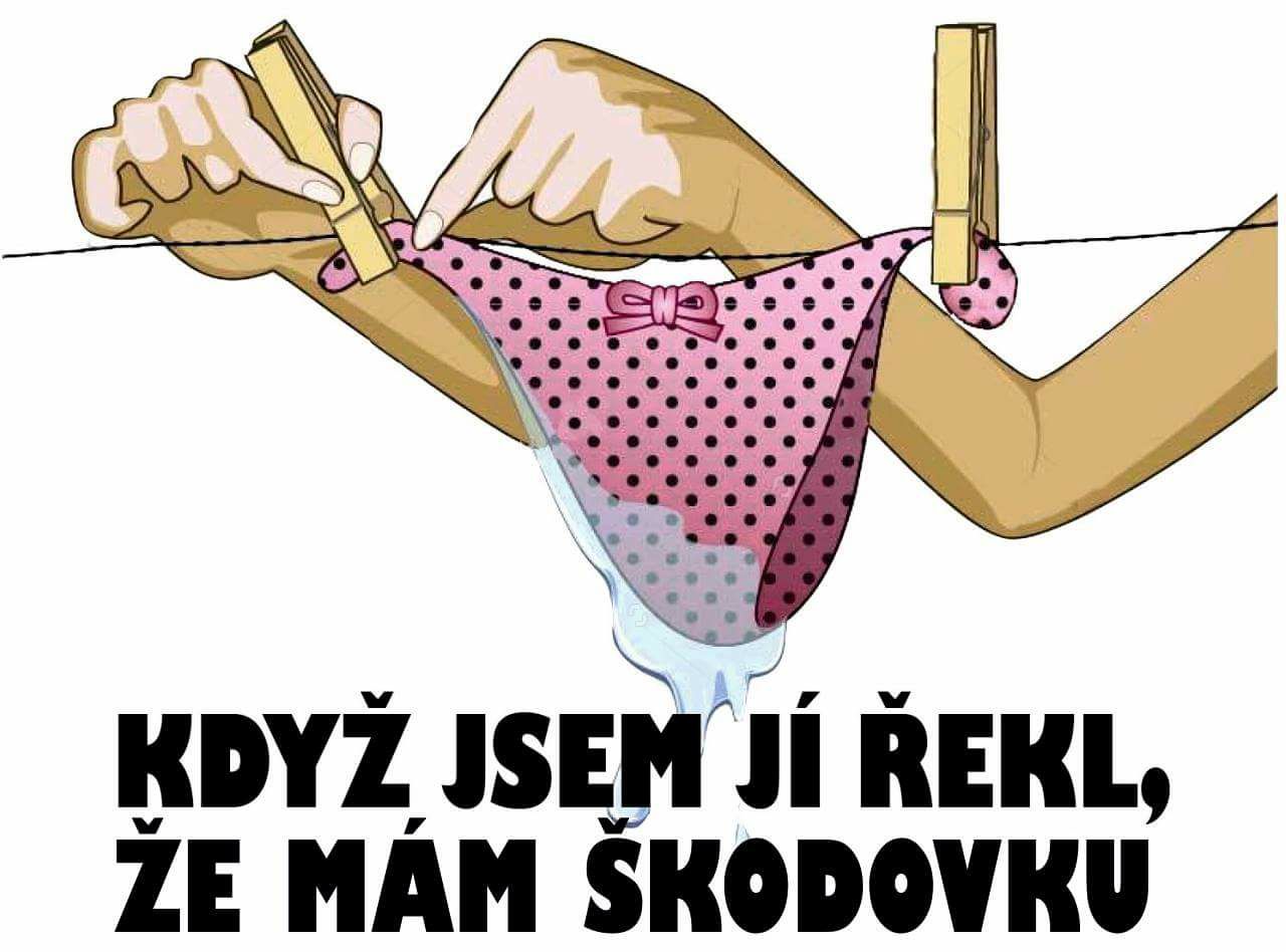 Obrázek mam skodovku