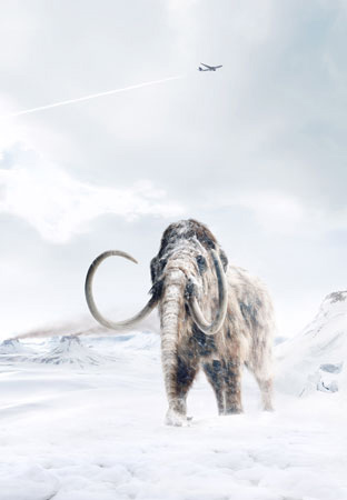 Obrázek mamut