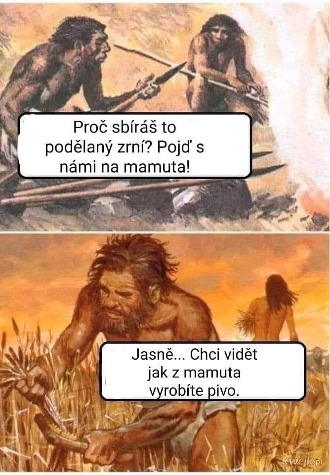 Obrázek mamut nebo zrni