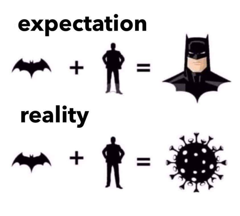 Obrázek man-plus-bat-expectation-reality