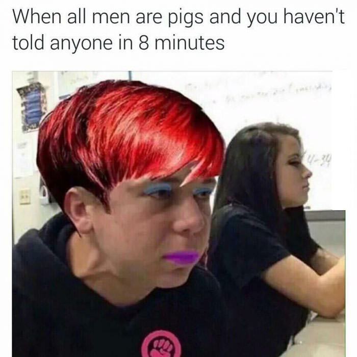 Obrázek manarepigs