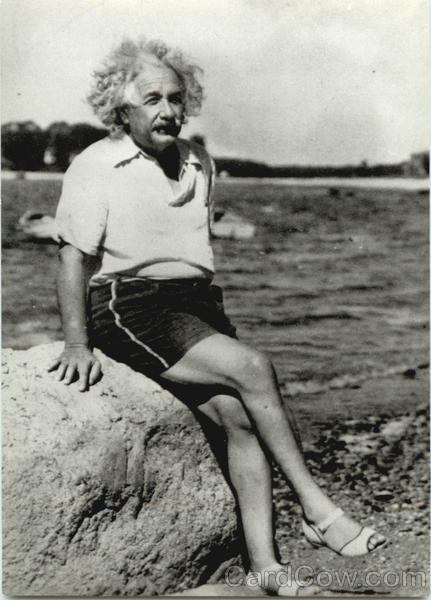 Obrázek marilyn einstein