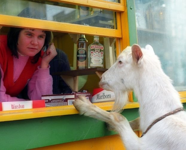 Obrázek marlboro prosim