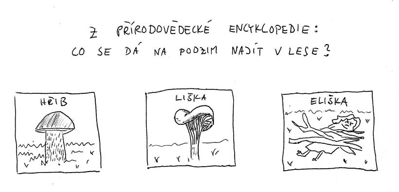 Obrázek martyho frky eliska