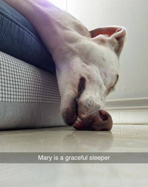 Obrázek mary is a graceful sleeper