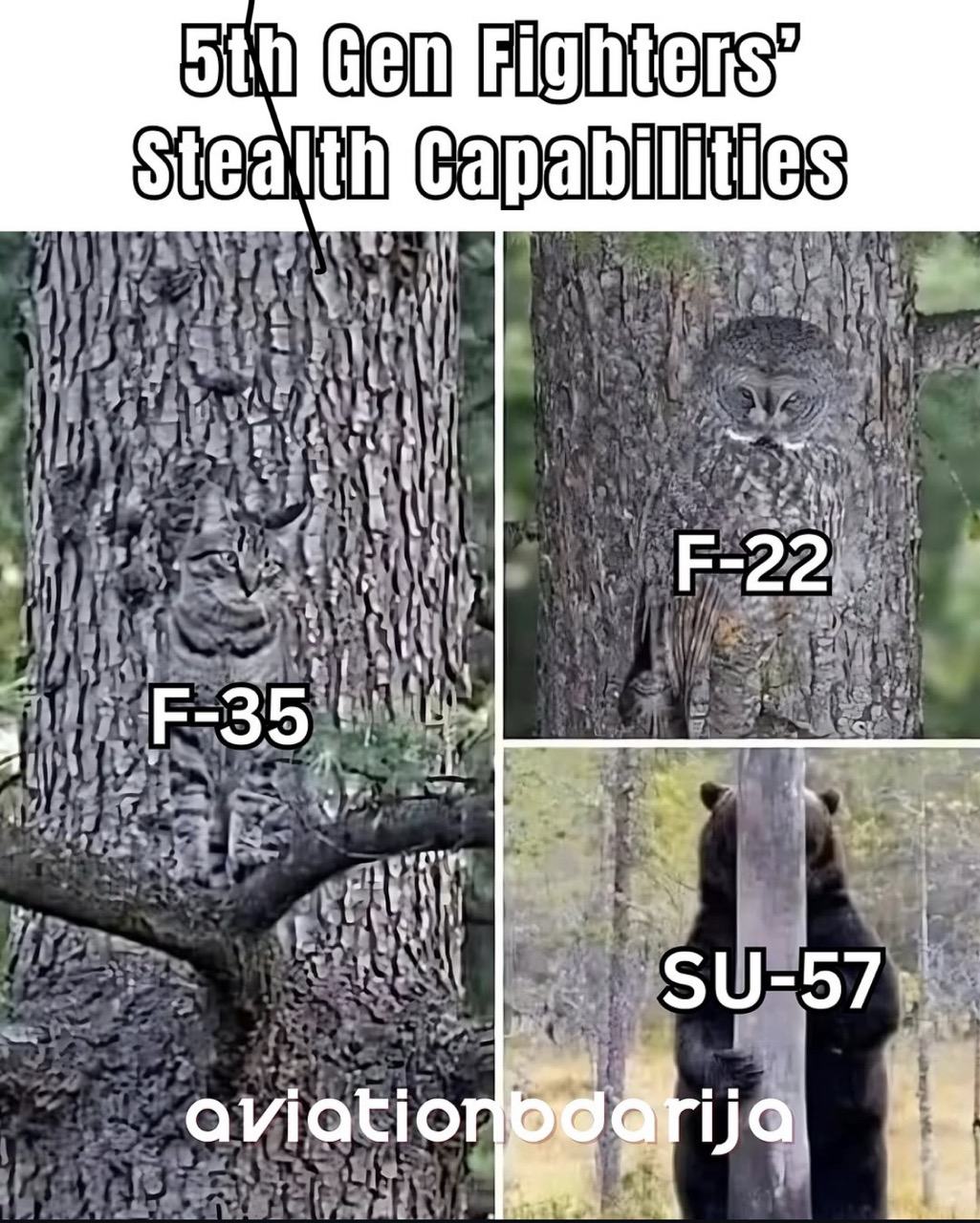 Obrázek maskovanie lietadiel