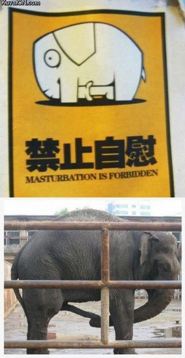 Obrázek masturbation is forbidden