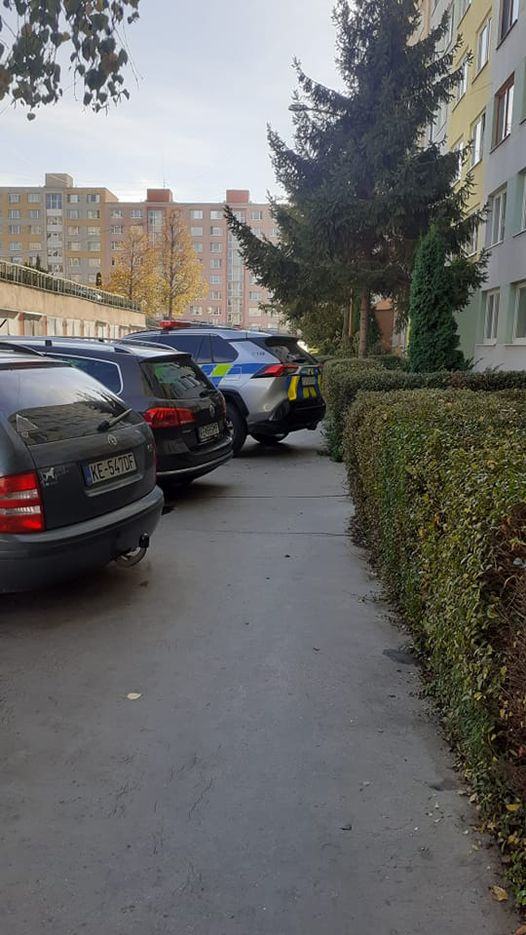 Obrázek matky s kociarmi mozeme jebat