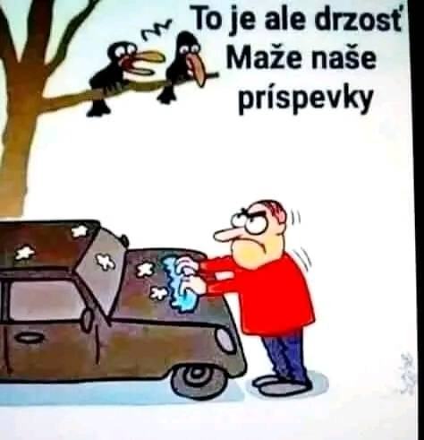 Obrázek maze nase prispevky nerad
