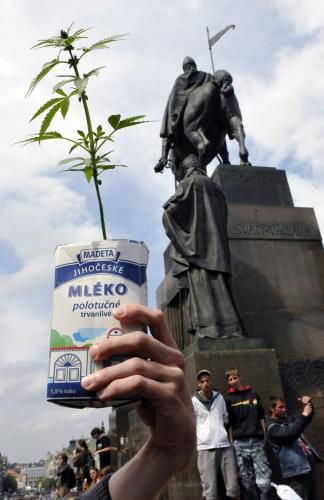 Obrázek meanwhile in Prague