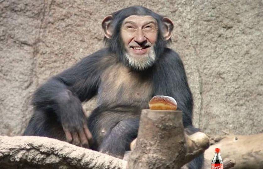 Obrázek meanwhile in ZOO DvurK