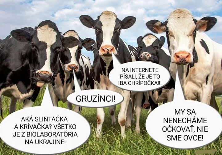 Obrázek meanwhile in felvidekk