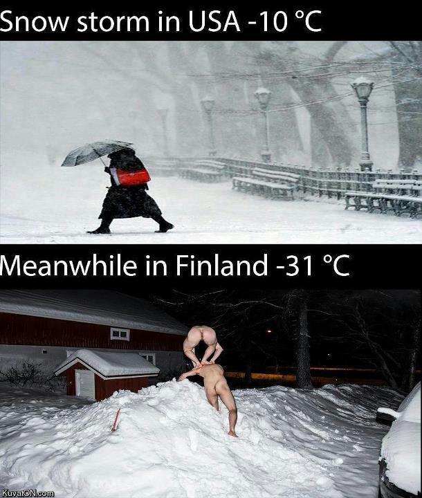 Obrázek meanwhile in finland26