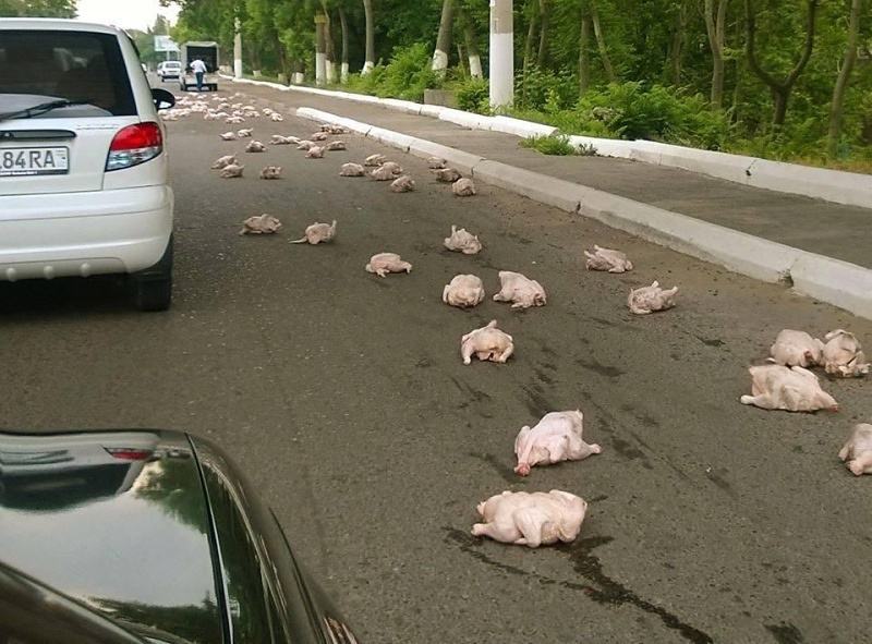 Obrázek meat-accident