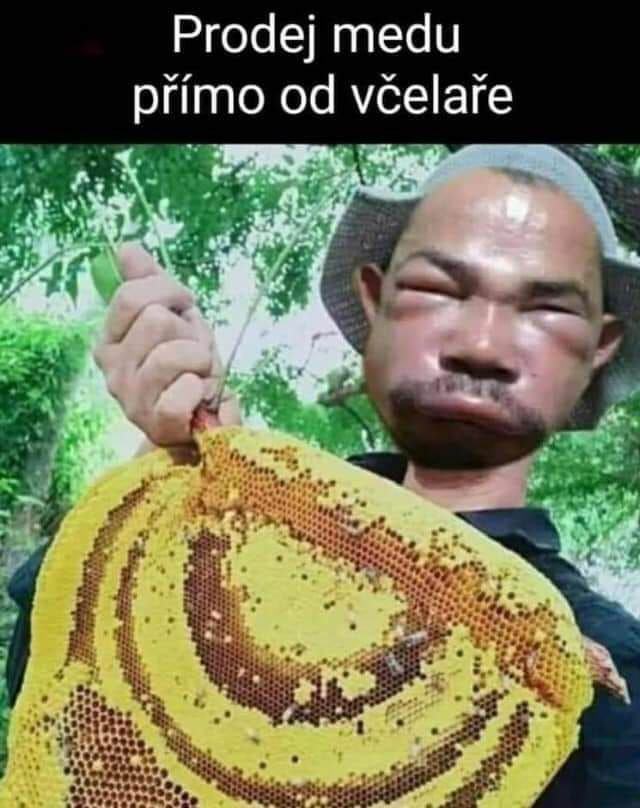 Obrázek medar