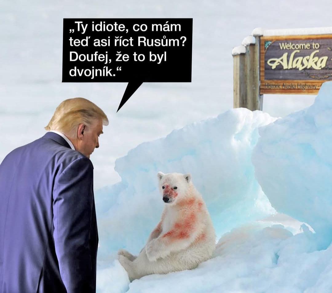 Obrázek medved sezral Putlera