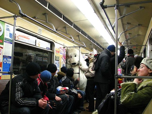 Obrázek medved v metru