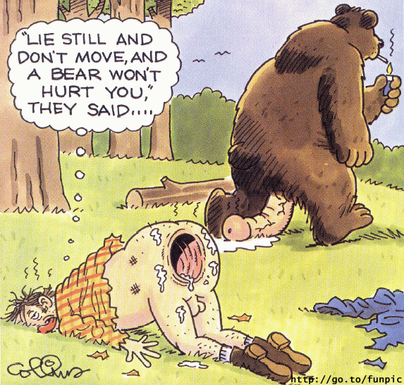 Obrázek medvedi nasilnik