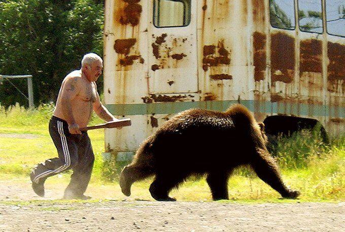 Obrázek medvedi nevedi