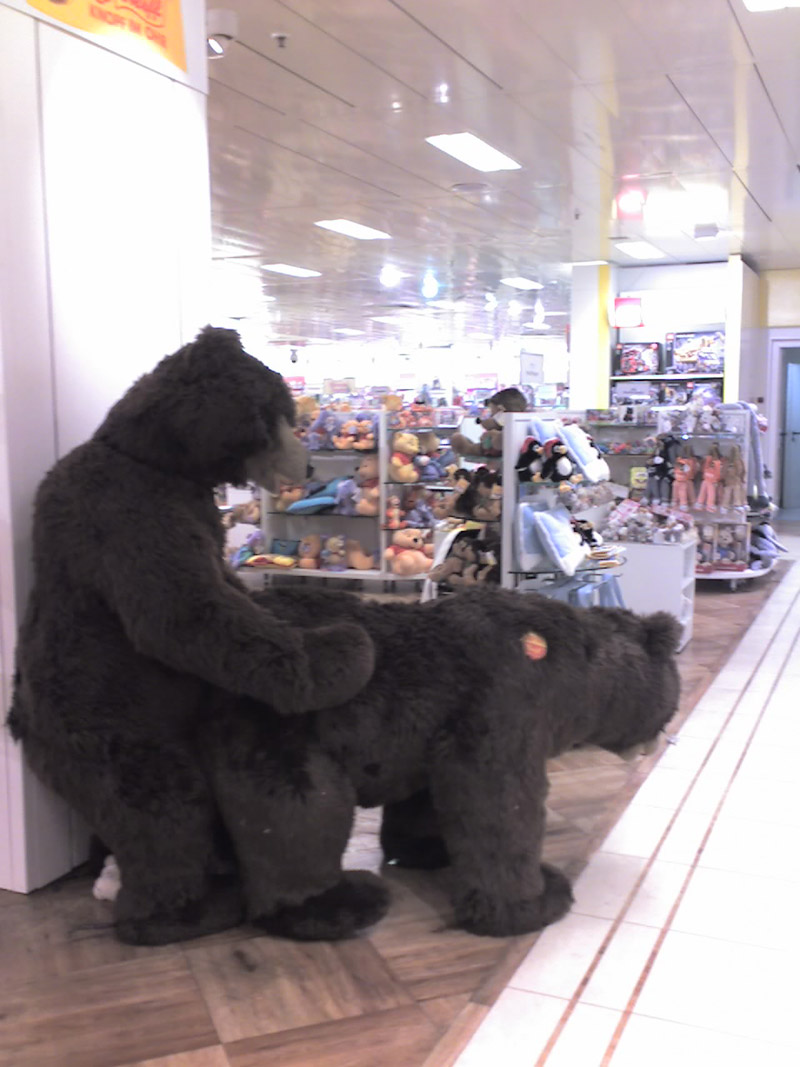 Obrázek medvedi v hrackarstvi