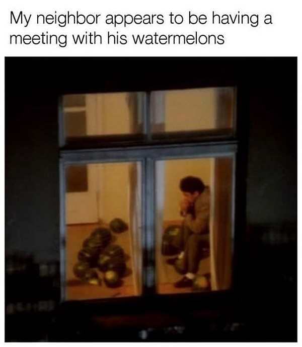 Obrázek meeting-watermelons