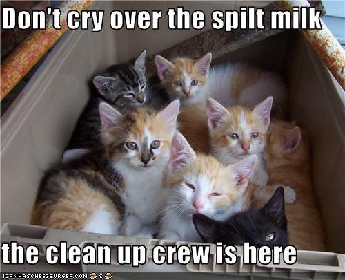 Crying over spilt milk идиома перевод. Don't Cry over spilt Milk. Cry over spilt Milk идиома. There is no use crying over spilt Milk.
