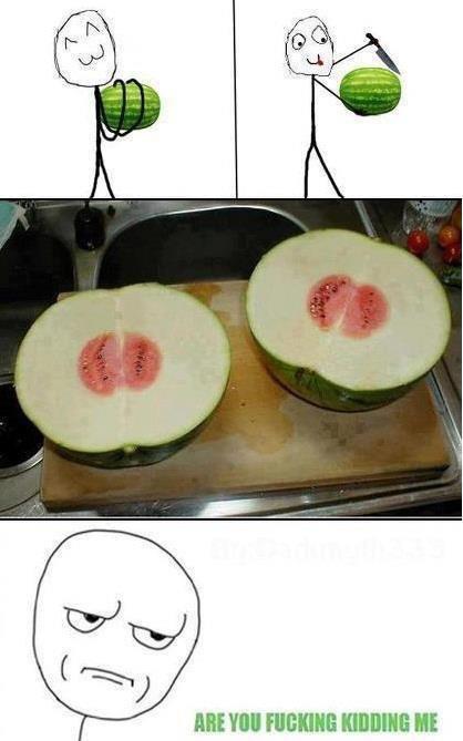 Obrázek melonik
