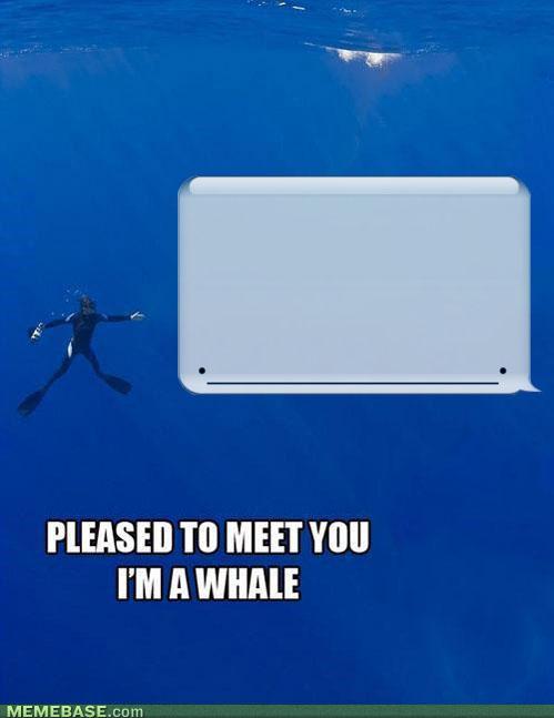 Obrázek memes-im-a-whale