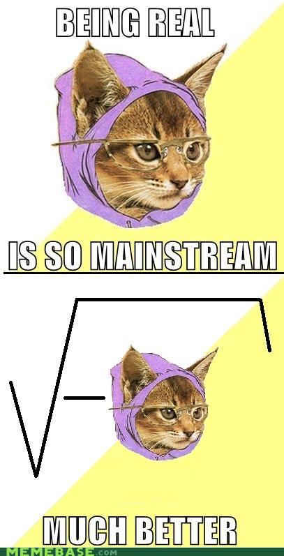 Obrázek memes-imaginary-hipster-kitty