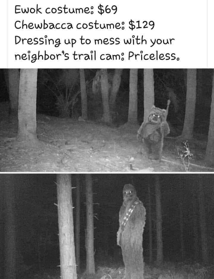 Obrázek mess with neighbor trail cam-priceless