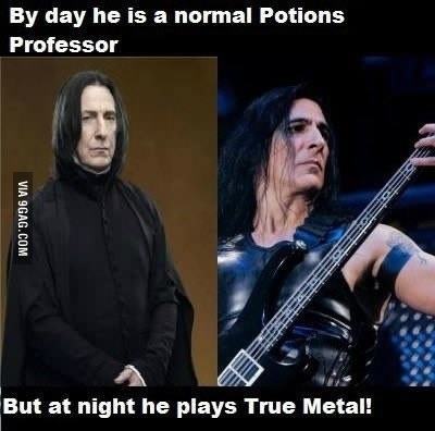 Obrázek metal snape