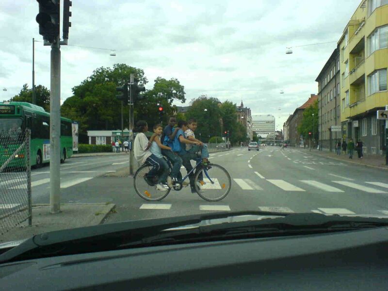 Obrázek metznallen