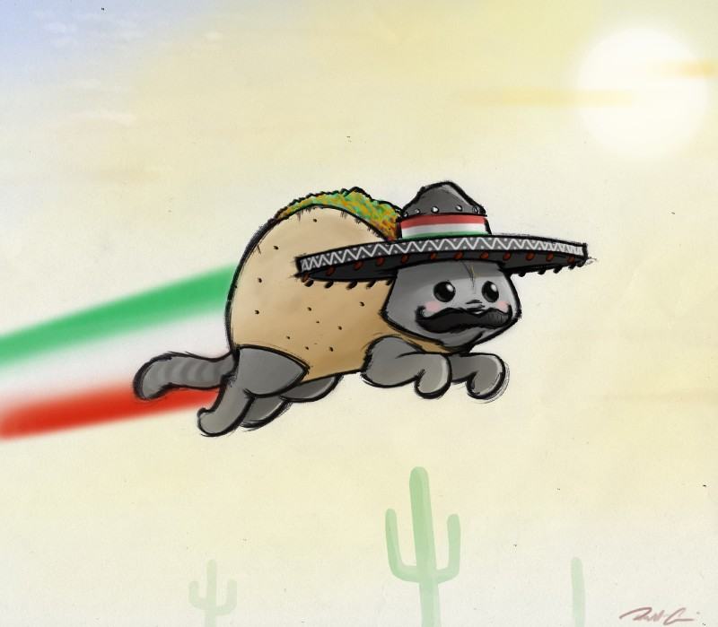Obrázek mexican nyan cat by robthedoodler-d47aul5