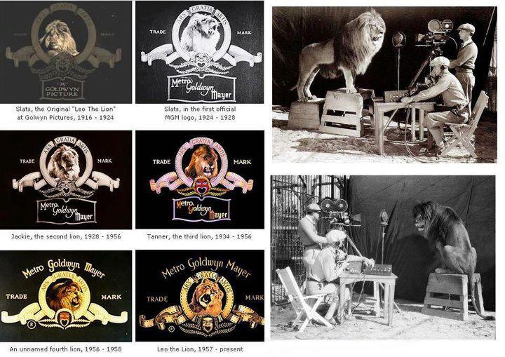 Obrázek mgm lion
