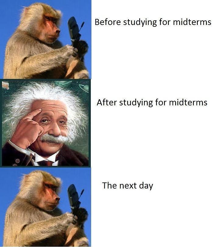 Obrázek midterms  