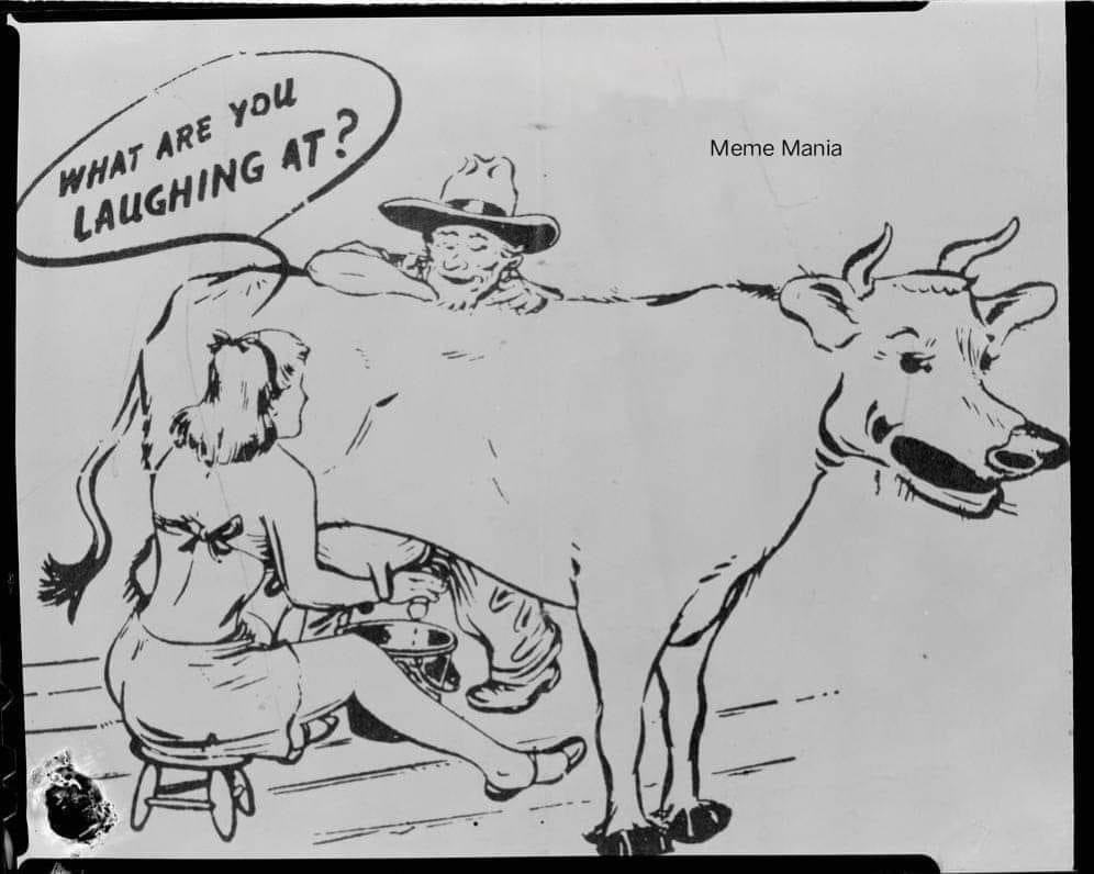 Obrázek milk me too