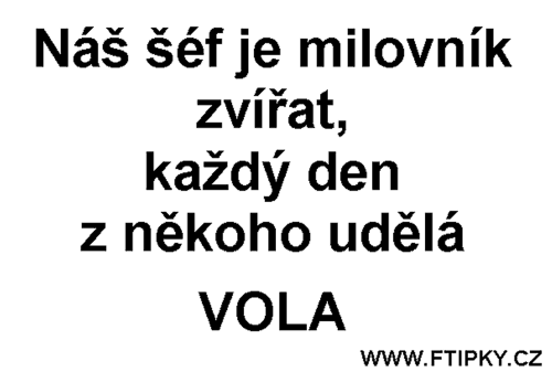 Obrázek milovnik zvirat