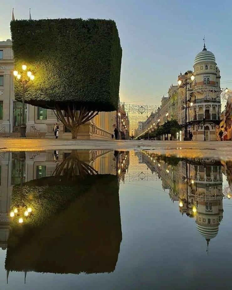 Obrázek minecraft&nbsp;strom