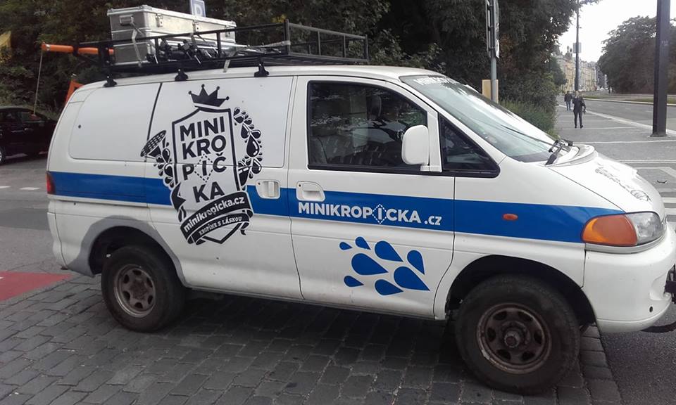 Obrázek minikro pussy