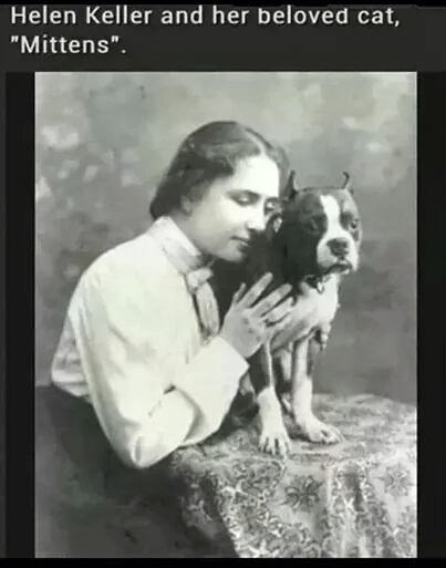 Obrázek mittens 540