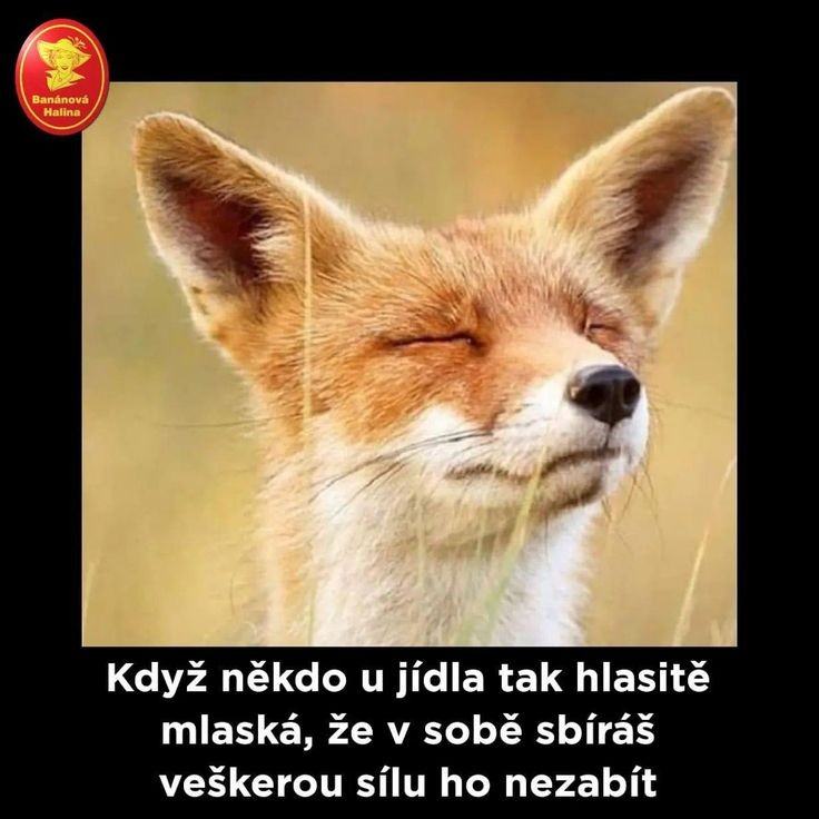 Obrázek mlaaaasky