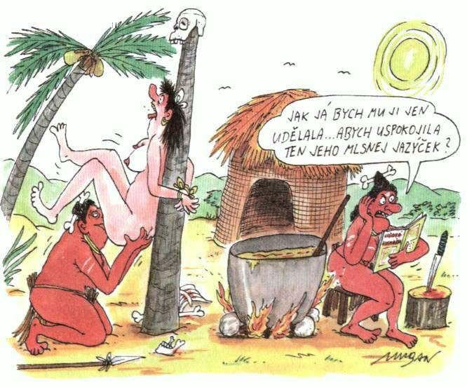 Obrázek mlsnej gulas